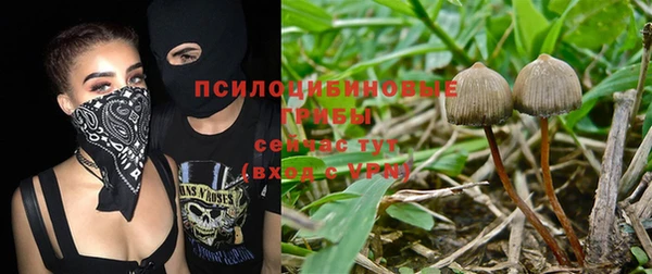 дмт Балабаново