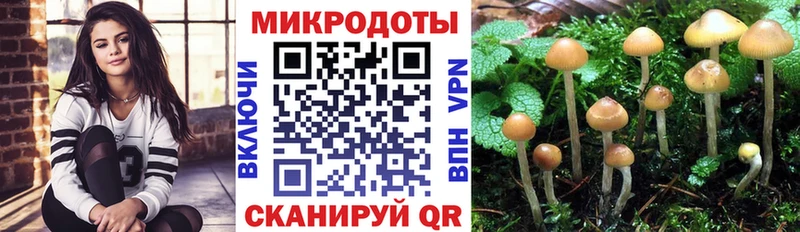 Галлюциногенные грибы Magic Shrooms  нарко площадка телеграм  Светлый 